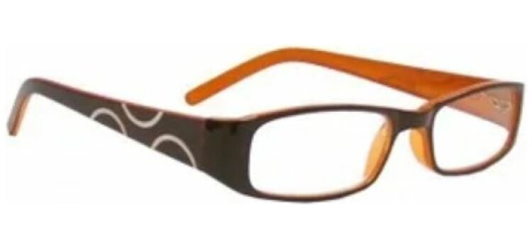 Lunettes de lecture loupe Loring STYLO1